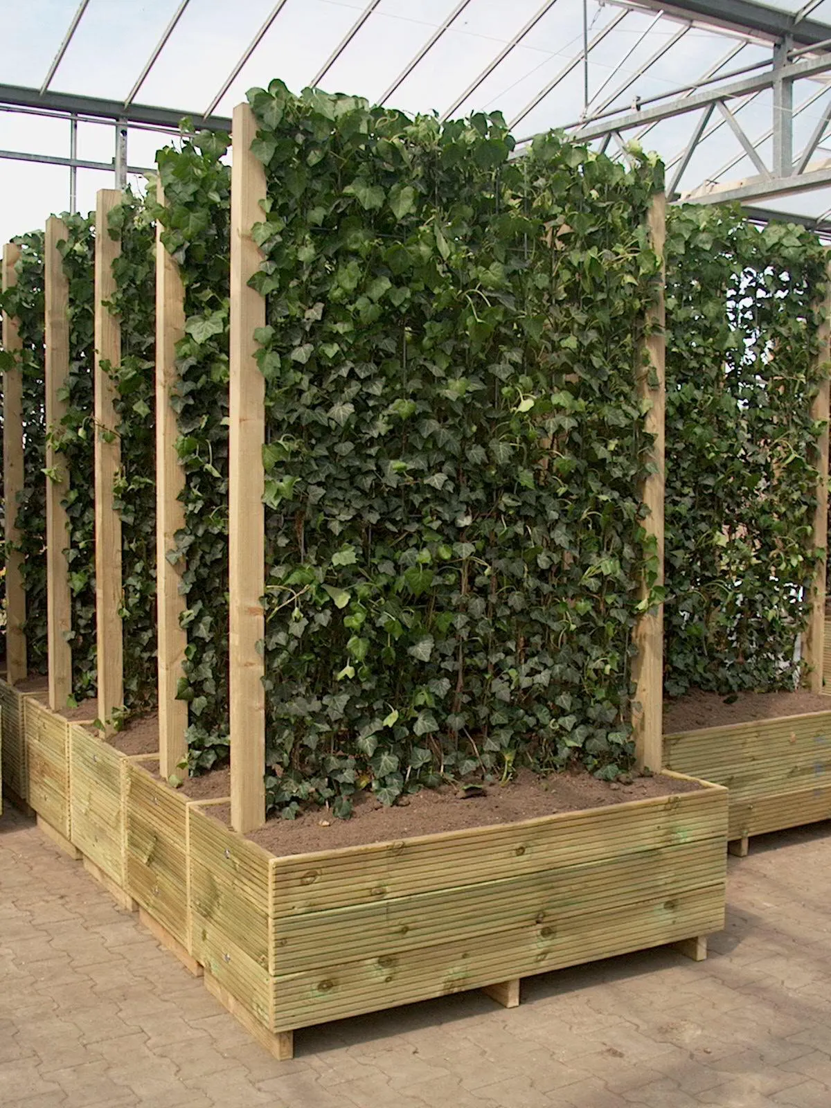 Timber Planter Boxes detail